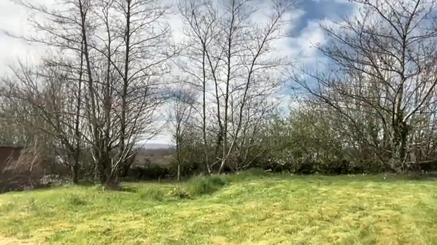 Stripchat-Public.Show-f-winterforu-2025.04.01.131916