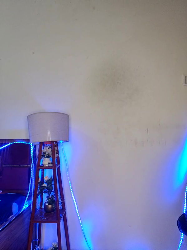 Stripchat-Public.Show-f-Black-Pearll-2025.01.27.183701