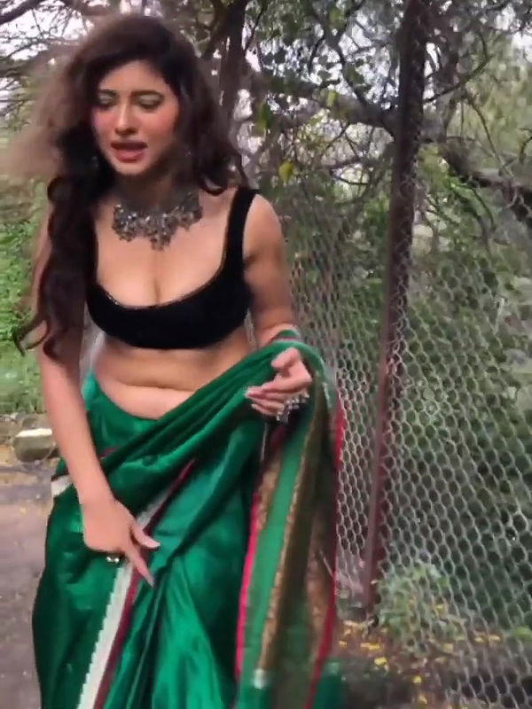 BUSTY POONAM RAJPUT SHOWS BEST WAY TO CARRY A PALLU ADDICTION TION