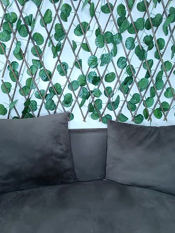 Stripchat-Public.Show-f-Bold-Cat-2025.03.31.175017