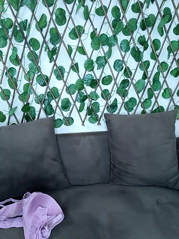 Stripchat-Public.Show-f-Bold-Cat-2025.04.17.174846