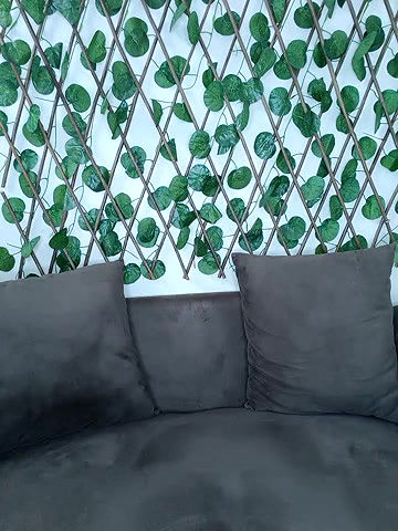 Stripchat-Public.Show-f-Bold-Cat-2025.04.17.174846