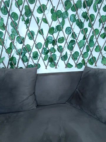 Stripchat-Public.Show-f-Bold-Cat-2025.04.21.172333