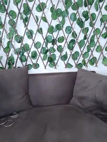 Stripchat-Public.Show-f-Bold-Cat-2025.04.21.194545