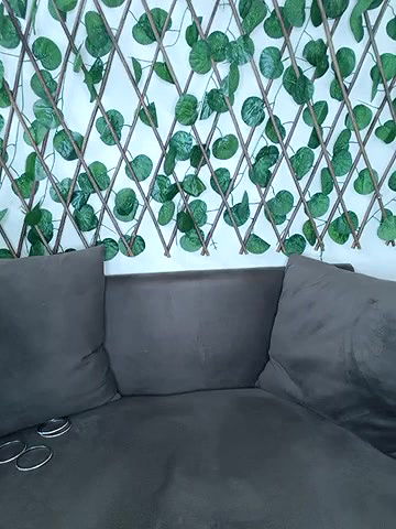 Stripchat-Public.Show-f-Bold-Cat-2025.04.21.194545