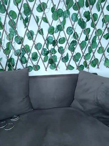 Stripchat-Public.Show-f-Bold-Cat-2025.04.21.194545