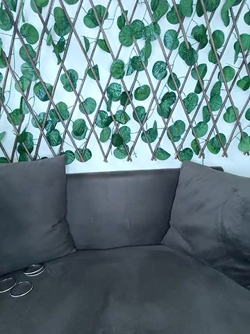 Stripchat-Public.Show-f-Bold-Cat-2025.04.21.194545