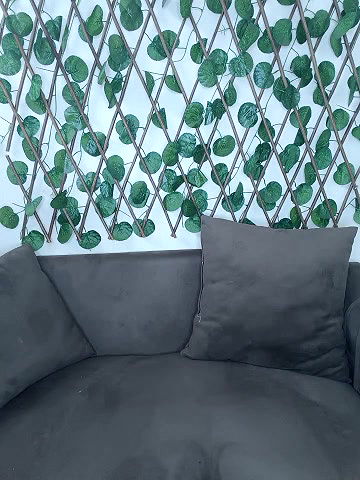 Stripchat-Public.Show-f-Bold-Cat-2025.04.26.205626