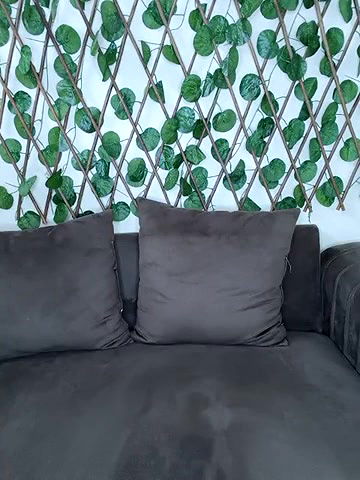 Stripchat-Public.Show-f-Bold-Cat-2025.04.28.180216