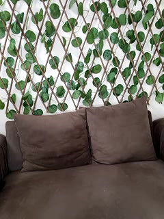 Stripchat-Public.Show-f-Bold-Cat-2025.05.27.184147