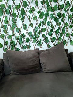 Stripchat-Public.Show-f-Bold-Cat-2025.05.27.184147