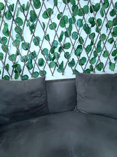 Stripchat-Public.Show-f-Bold-Cat-2025.05.27.191632