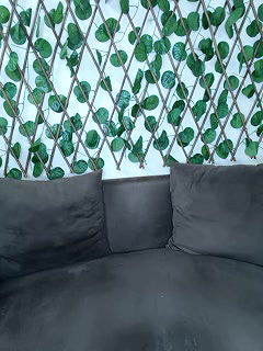 Stripchat-Public.Show-f-Bold-Cat-2025.05.27.191632