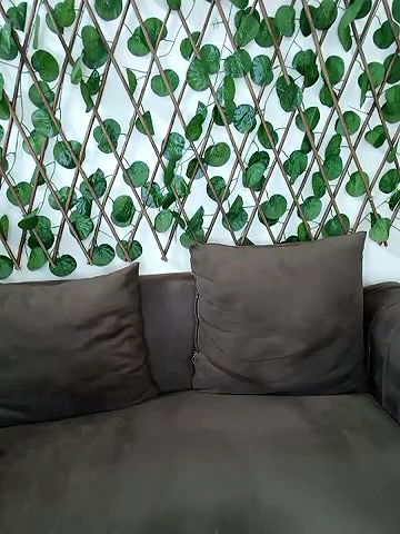 Stripchat-Public.Show-f-Bold-Cat-2025.05.31.010902