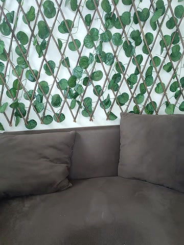 Stripchat-Public.Show-f-Bold-Cat-2025.06.14.181440