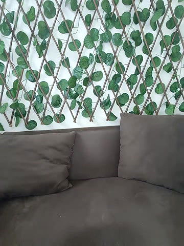 Stripchat-Public.Show-f-Bold-Cat-2025.06.14.181440