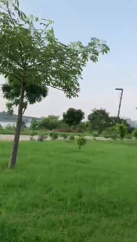 Blowjob in park