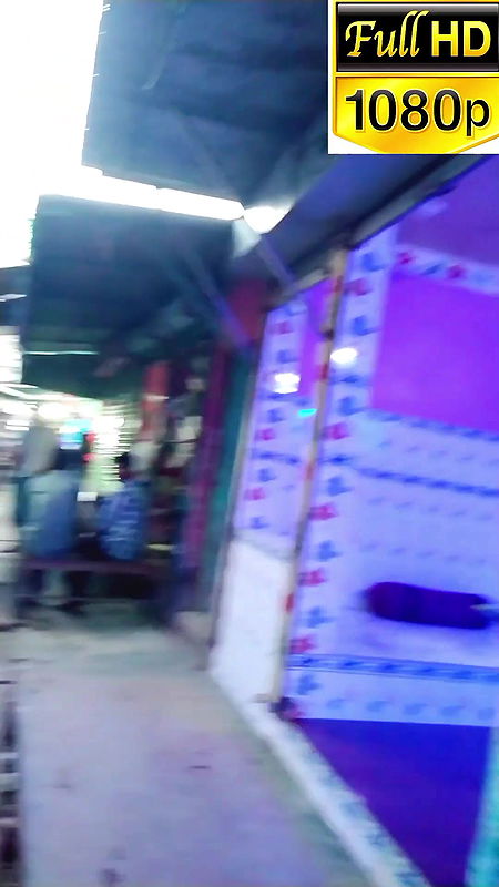 দৌলতদিয়া পল্লীর ভিতরে কি হয় দেখুন   Daulatdia Polli new video 2025