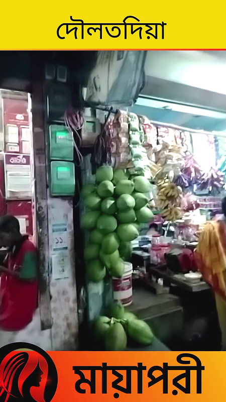 দৌলতদিয়া পল্লীর ভিতরের গলিতে কি হয় দেখুন   Daulatdia Polli new video 2025