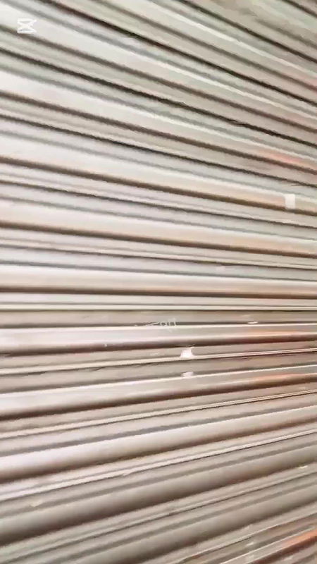 দৌলতদিয়া পল্লীর সকালের দৃশ্য   Daulatdia   Daulatdia Polli New Video 2025