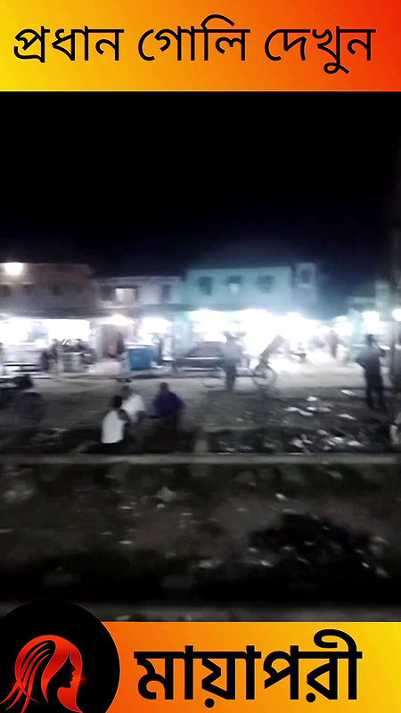 দৌলতদিয়া পল্লীর সব অলিগলি দেখুন   Daulatdia Polli New Video 2025