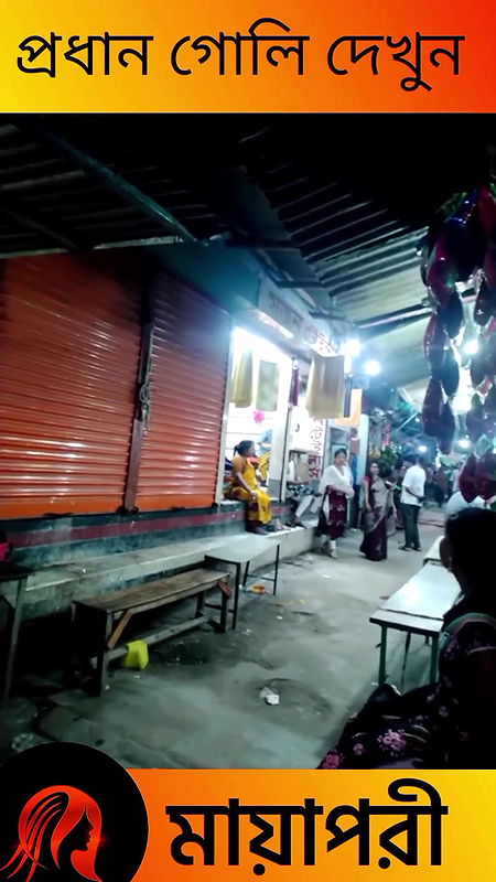 দৌলতদিয়া পল্লীর সব অলিগলি দেখুন   Daulatdia Polli New Video 2025