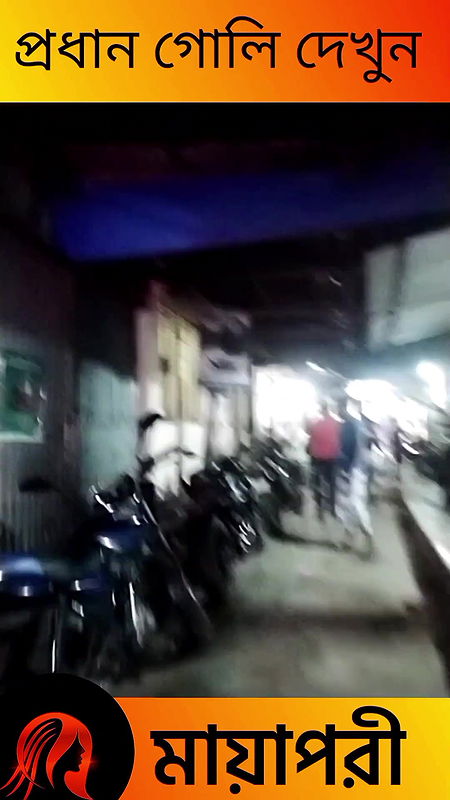 দৌলতদিয়া পল্লীর সব অলিগলি দেখুন   Daulatdia Polli New Video 2025