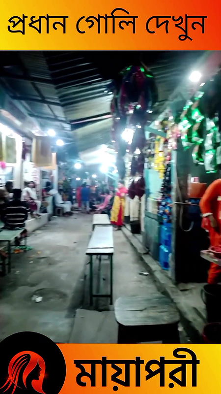 দৌলতদিয়া পল্লীর সব অলিগলি দেখুন   Daulatdia Polli New Video 2025