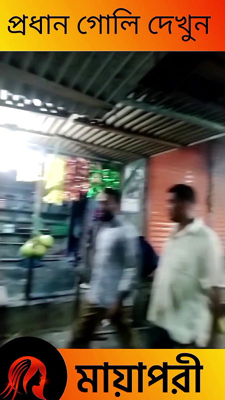 দৌলতদিয়া পল্লীর সব অলিগলি দেখুন   Daulatdia Polli New Video 2025