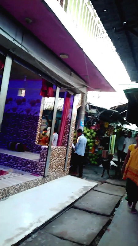 দৌলতদিয়া পাড়ার অস্থির কালেকশন   Daulatdia ghat   Daulatdia new video 2025