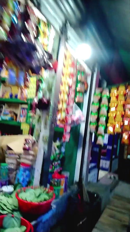 দৌলতদিয়া পাড়ার ভিডিও   Daulatdia Polli   Daulatdia ghat new video 2025