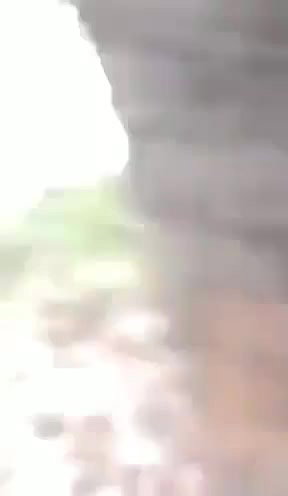 College girl fucking in jungle