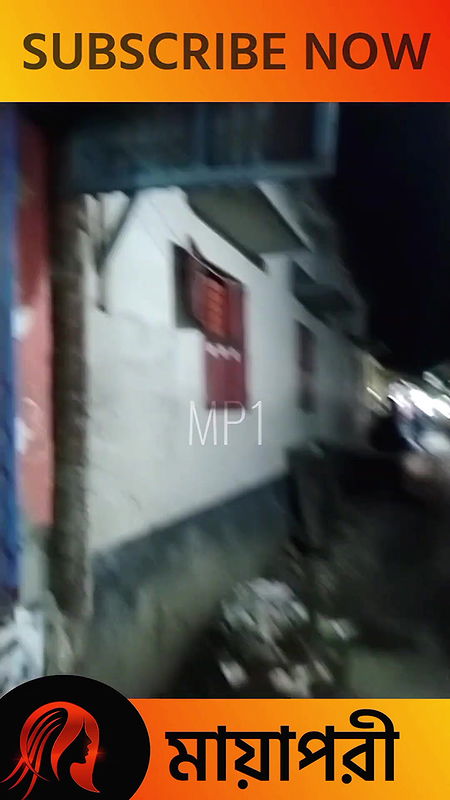 দৌলতদিয়া পল্লীতে দরদাম করছে দেখুন   Daulatdia new video 2025