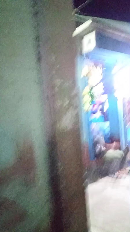 দৌলতদিয়া পল্লীতে দরদাম করা দেখুন   Daulatdia new video 2025