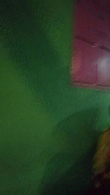 দৌলতদিয়া পল্লী কুমকুম কাজ করে বুমবুম   Daulatdia ghat new video 2025