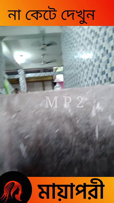 দৌলতদিয়া পল্লীতে দেখে দেখে কাজ করুন   Daulatdia Polli 2025