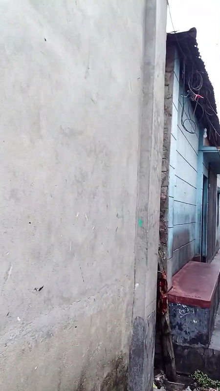 দৌলতদিয়া পল্লীতে পছন্দ হলে কি করে দেখুন   Daulatdia ghat video 2025