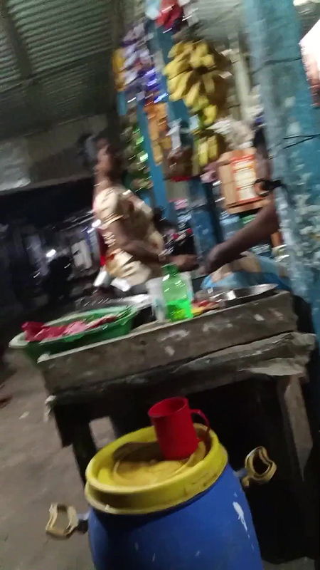 দৌলতদিয়া পল্লীর প্রধান গেট   Daulatdia ghat   Daulatdia Polli new video 2025