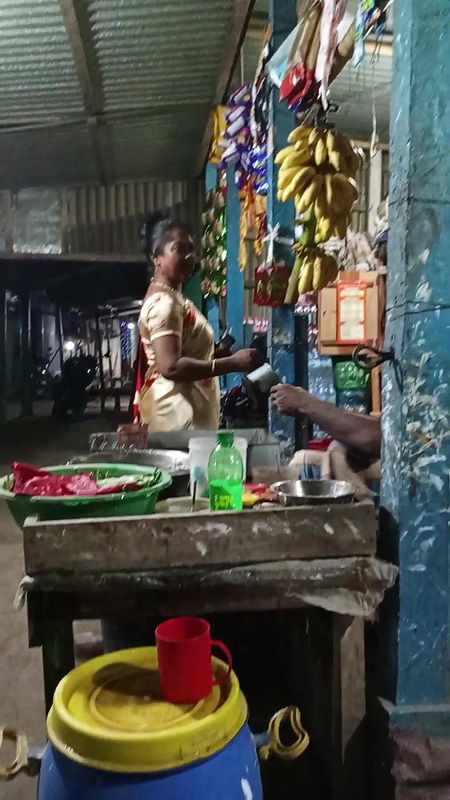 দৌলতদিয়া পল্লীর প্রধান গেট   Daulatdia ghat   Daulatdia Polli new video 2025