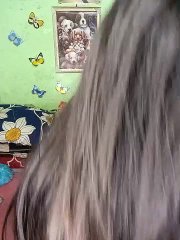 Stripchat-Public.Show-c-Nepali-queen-2024.12.03.210611