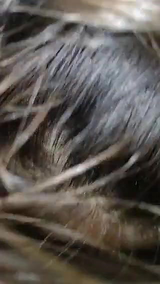 Booby Pakistani girl eating cum of BF