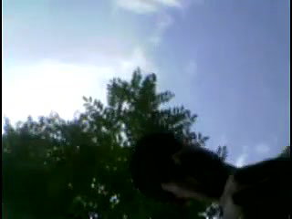 desi slim punjabi sex in fields