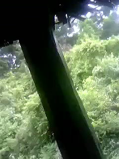 Cute girl with lover