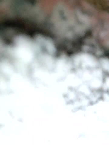 Stripchat-Public.Show-f-Hotty-rimi-2025.04.24.083638