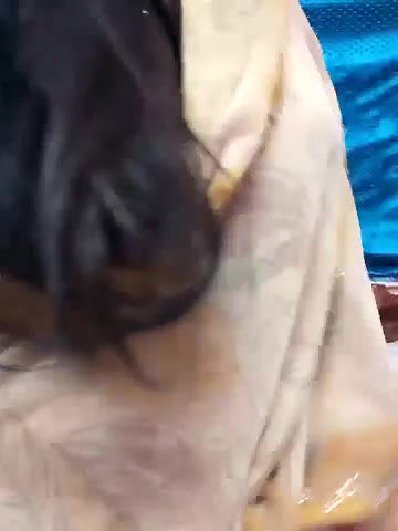 Stripchat-Public.Show-f-Olly-0078-2025.05.26.012156