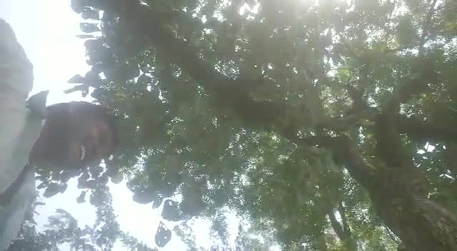 Couple outdoor having