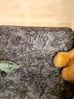 Stripchat-Public.Show-f-shuhana_-2024.06.11.111632