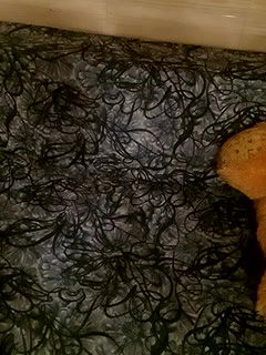 Stripchat-Public.Show-f-shuhana_-2024.07.19.025714