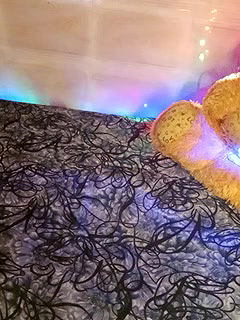 Stripchat-Public.Show-f-shuhana_-2024.10.28.011106