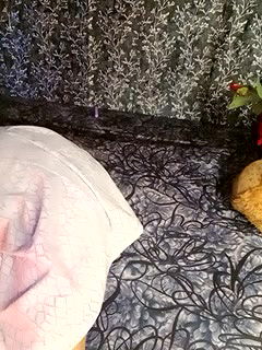 Stripchat-Public.Show-f-shuhana_-2024.12.26.033050